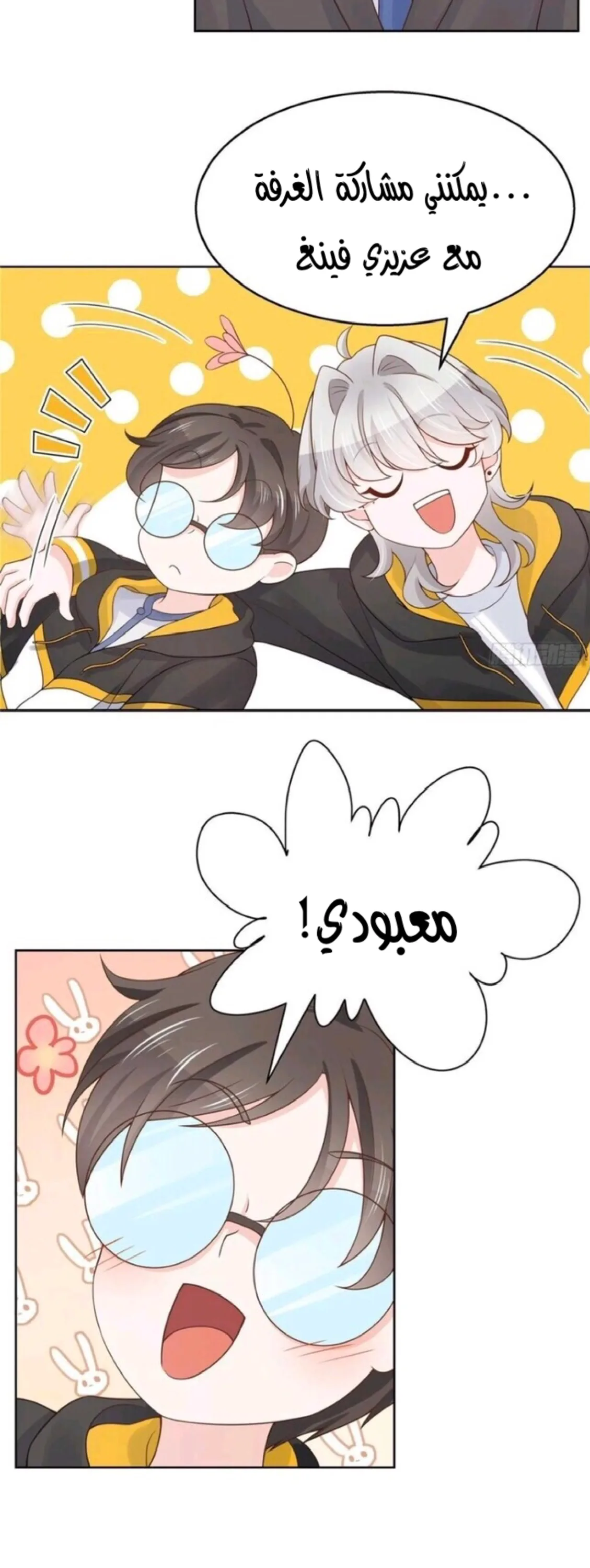 الصفحة 17