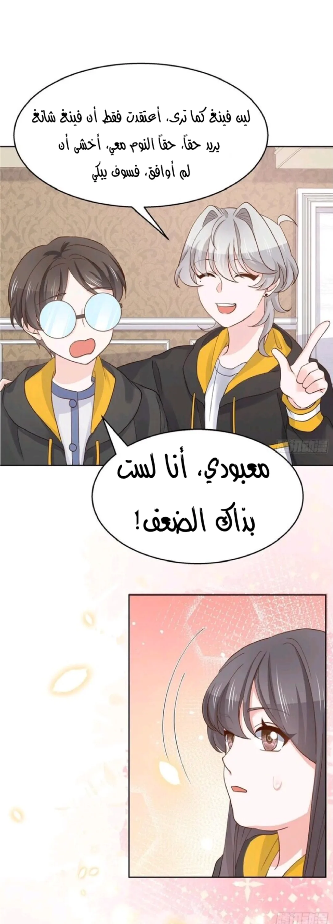 الصفحة 25