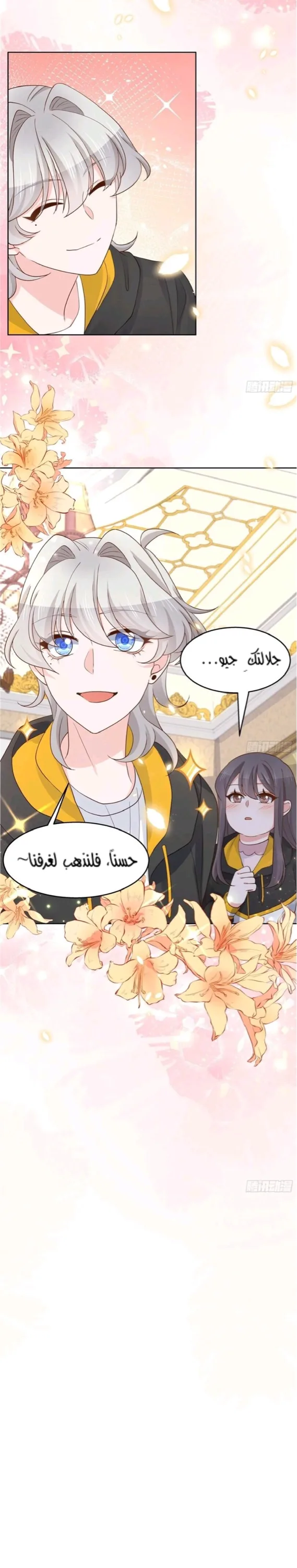 الصفحة 26