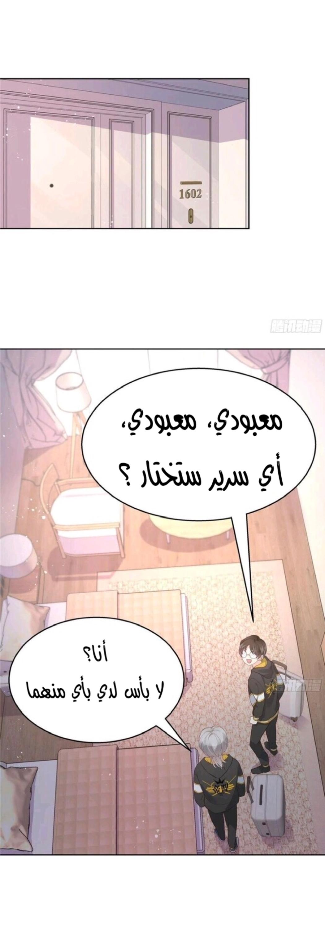 الصفحة 8