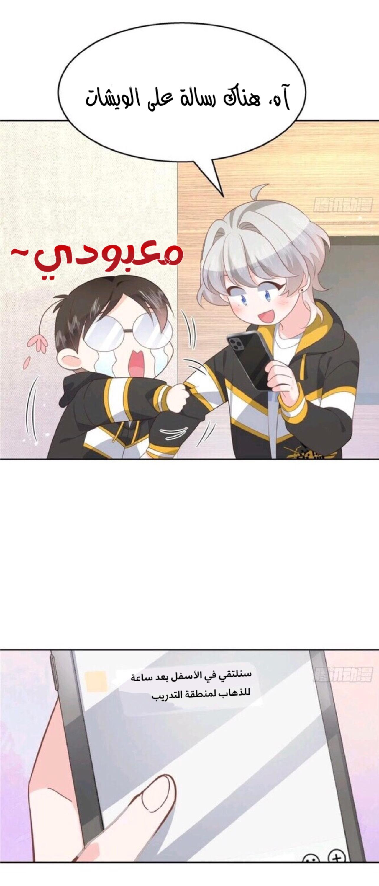 الصفحة 15
