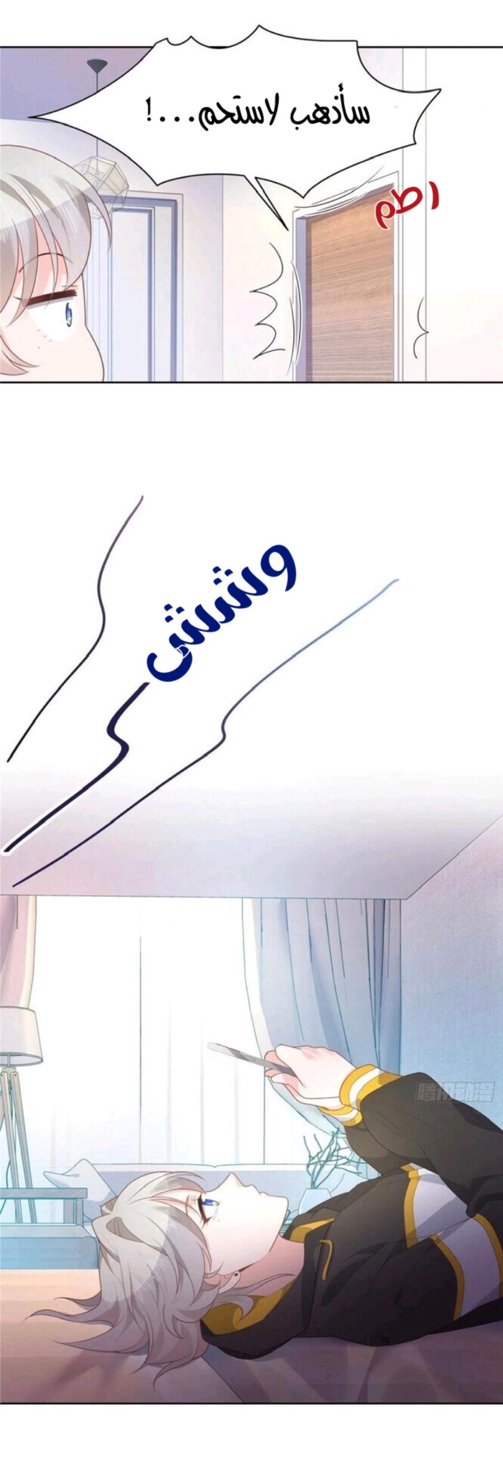 الصفحة 17