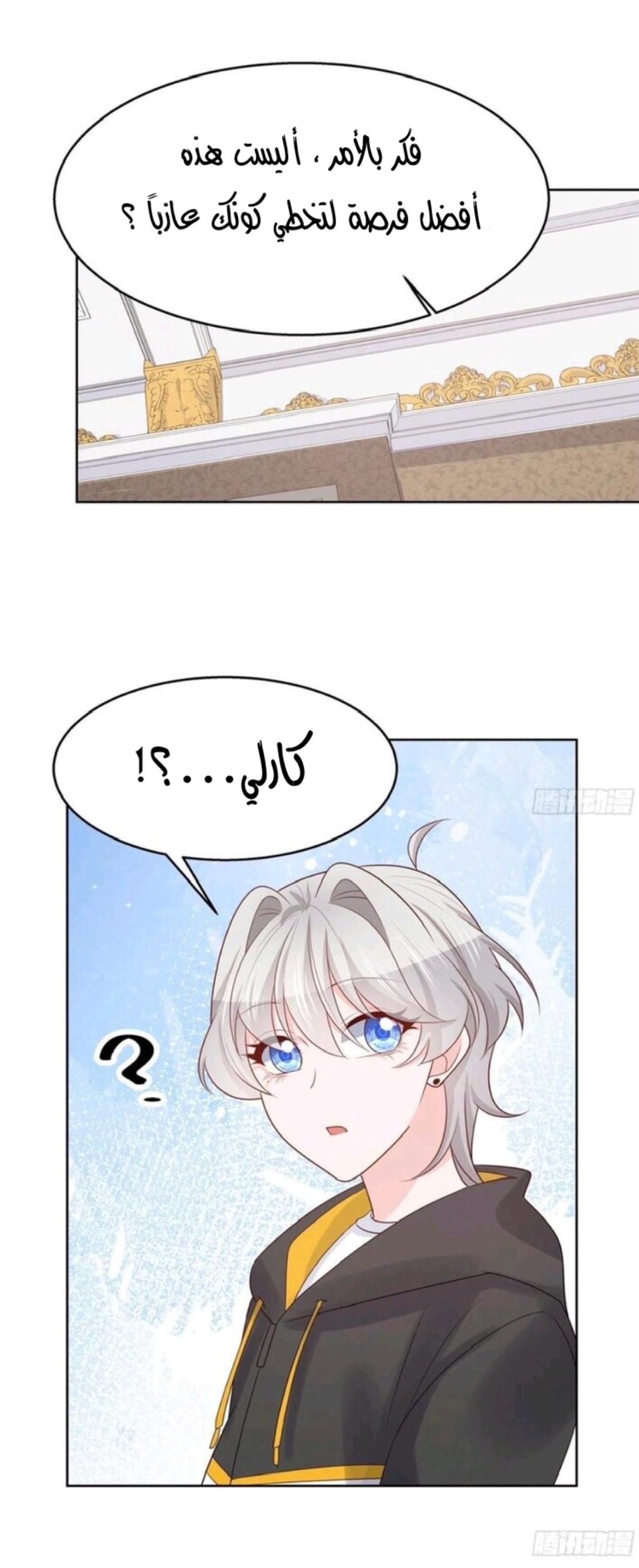 الصفحة 26
