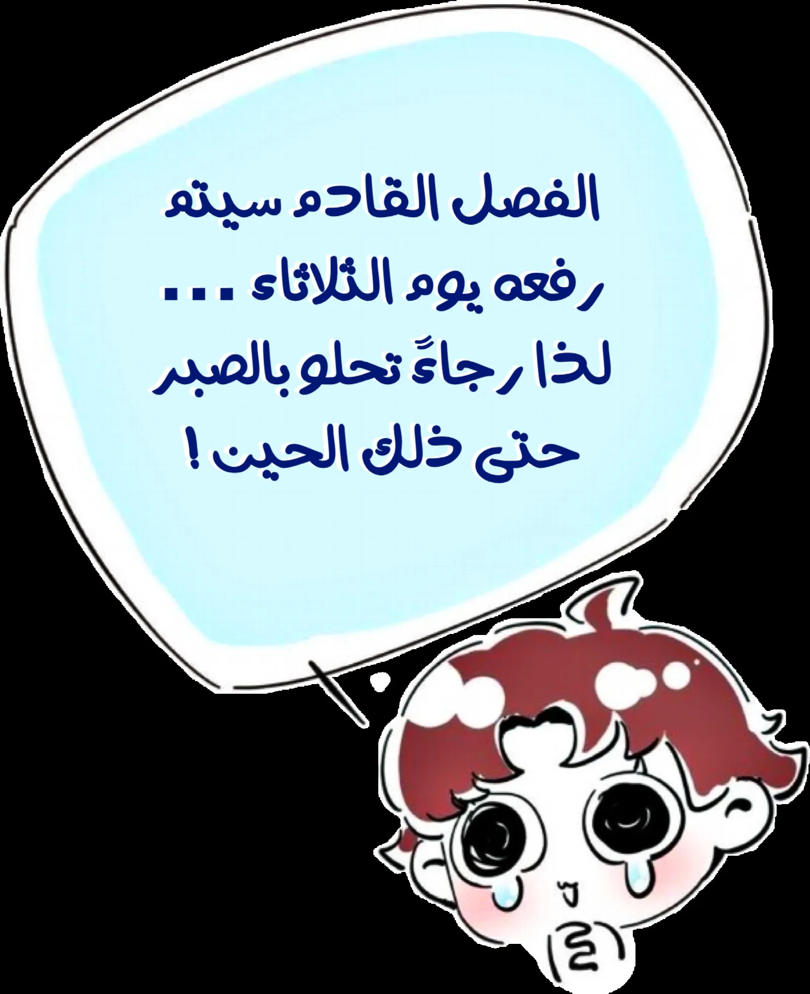 الصفحة 29