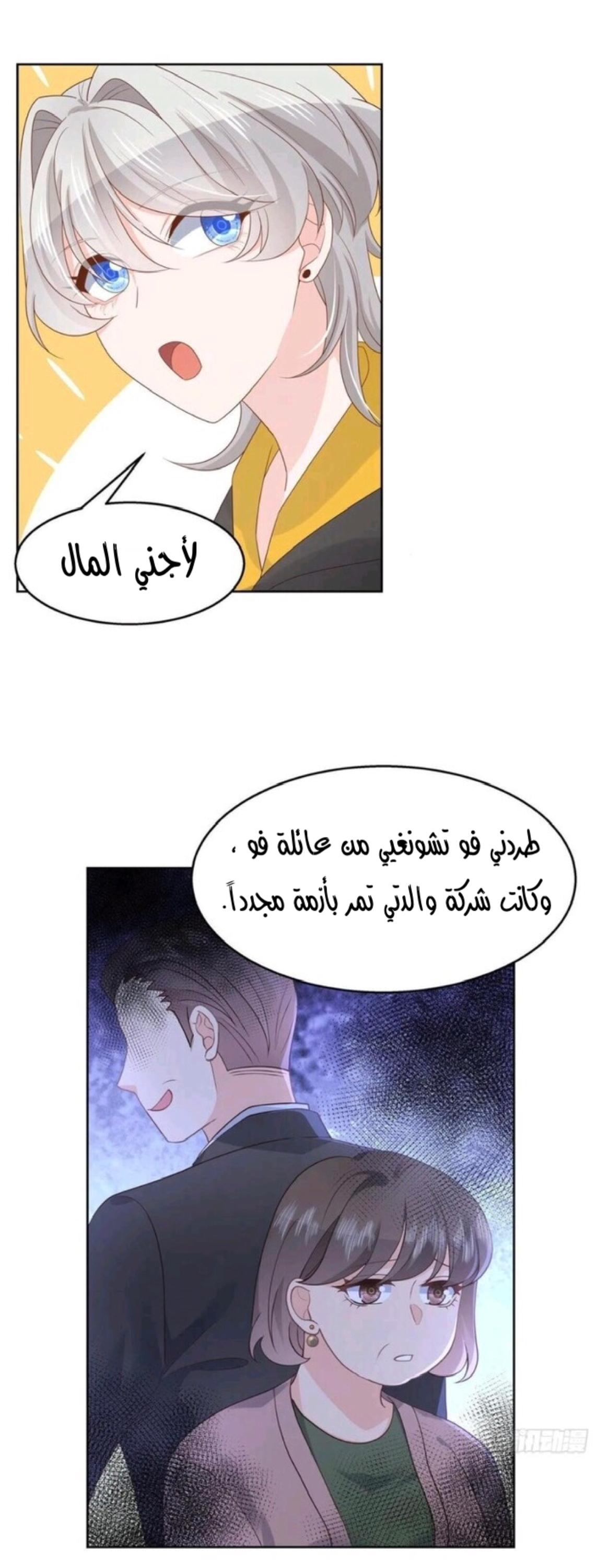 الصفحة 13