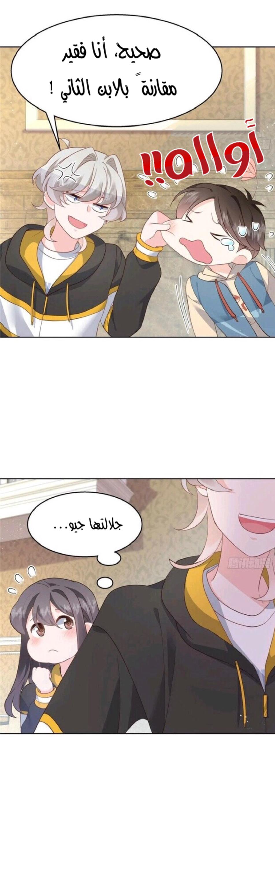 الصفحة 15