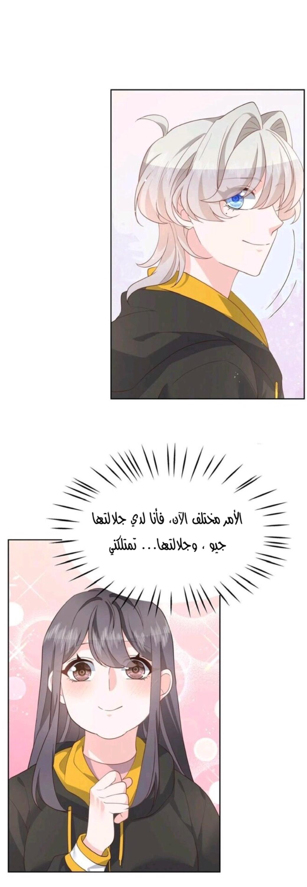 الصفحة 17