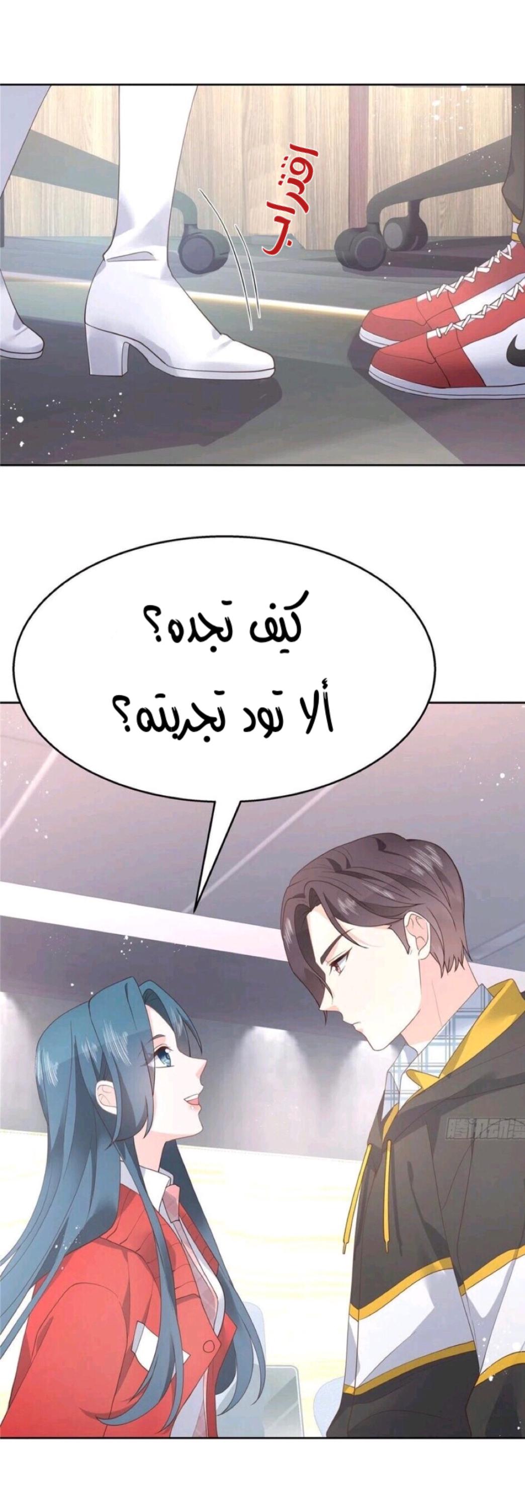 الصفحة 13