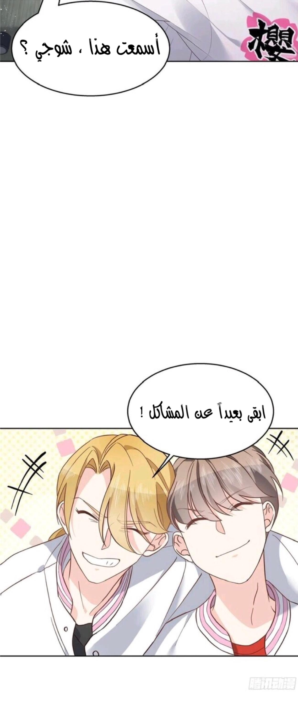 الصفحة 13
