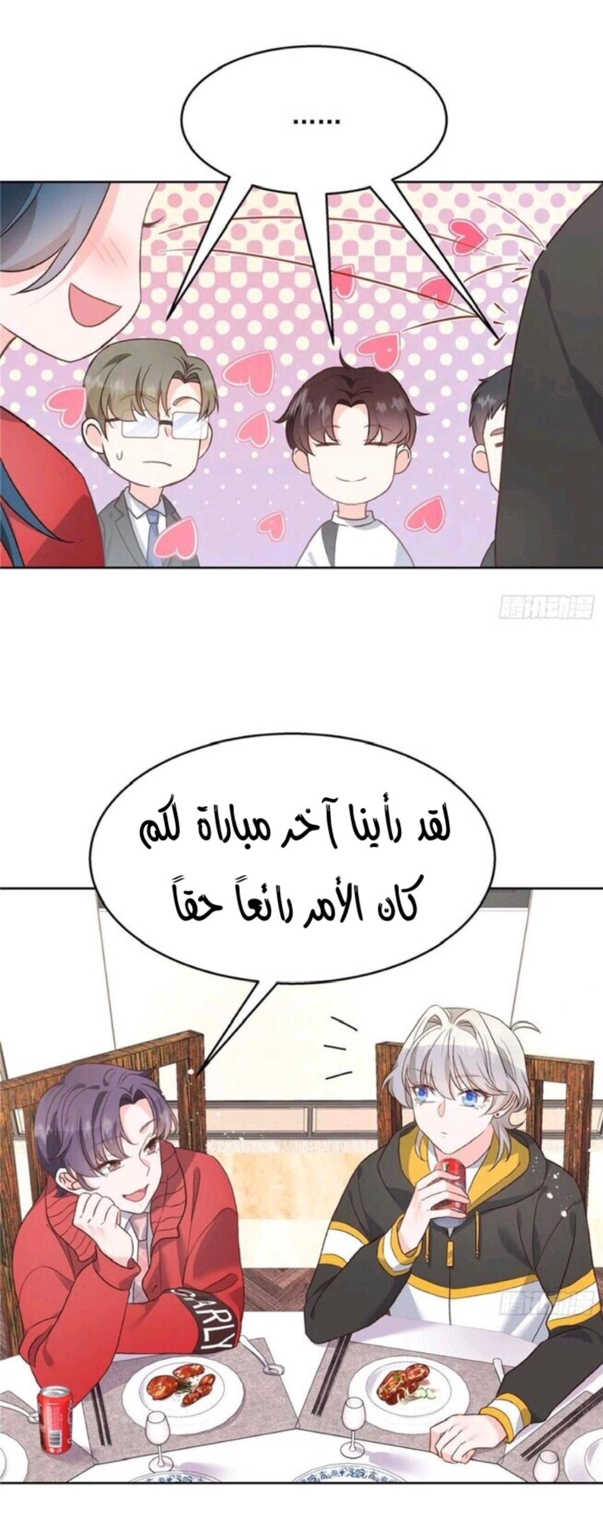 الصفحة 17