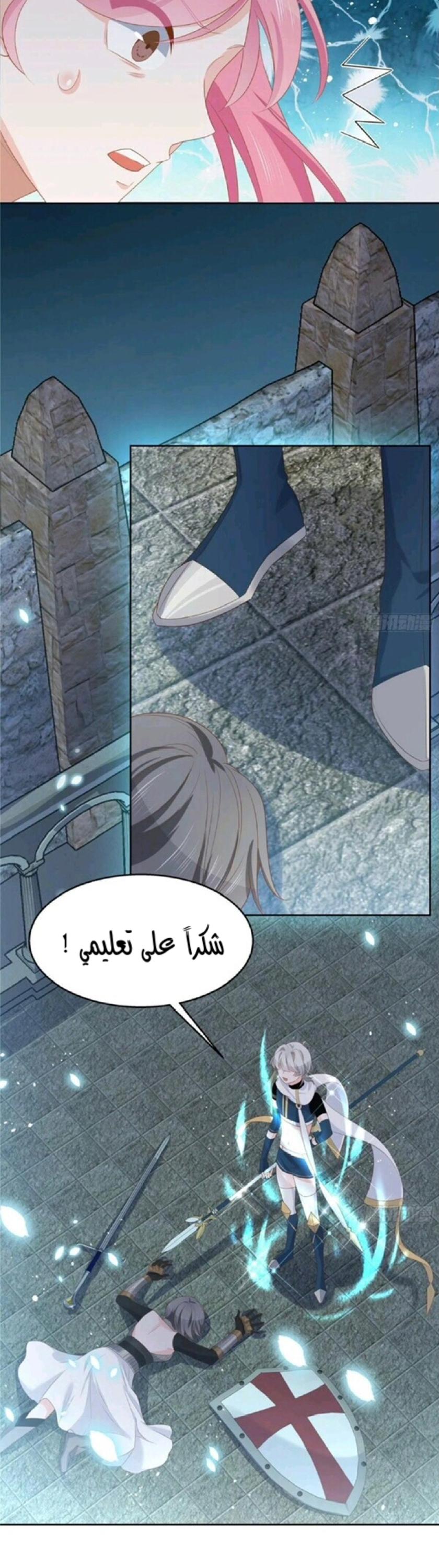 الصفحة 13