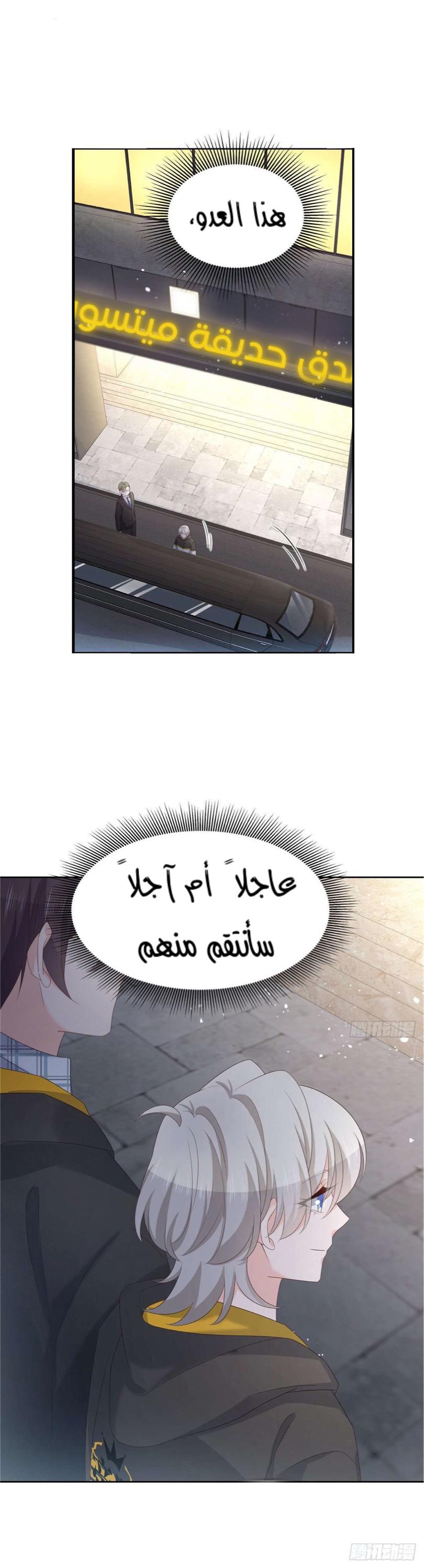 الصفحة 17