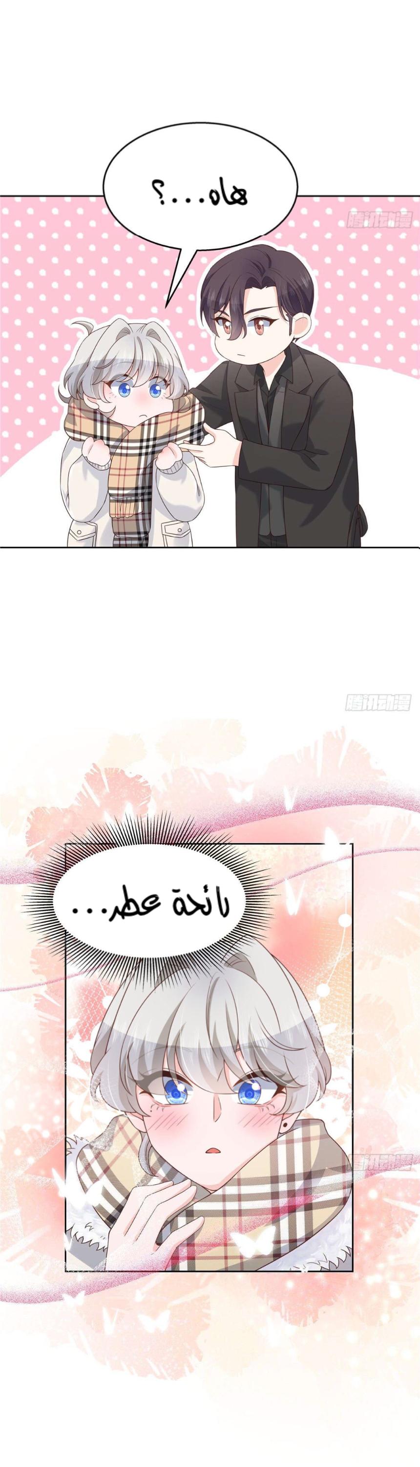 الصفحة 13
