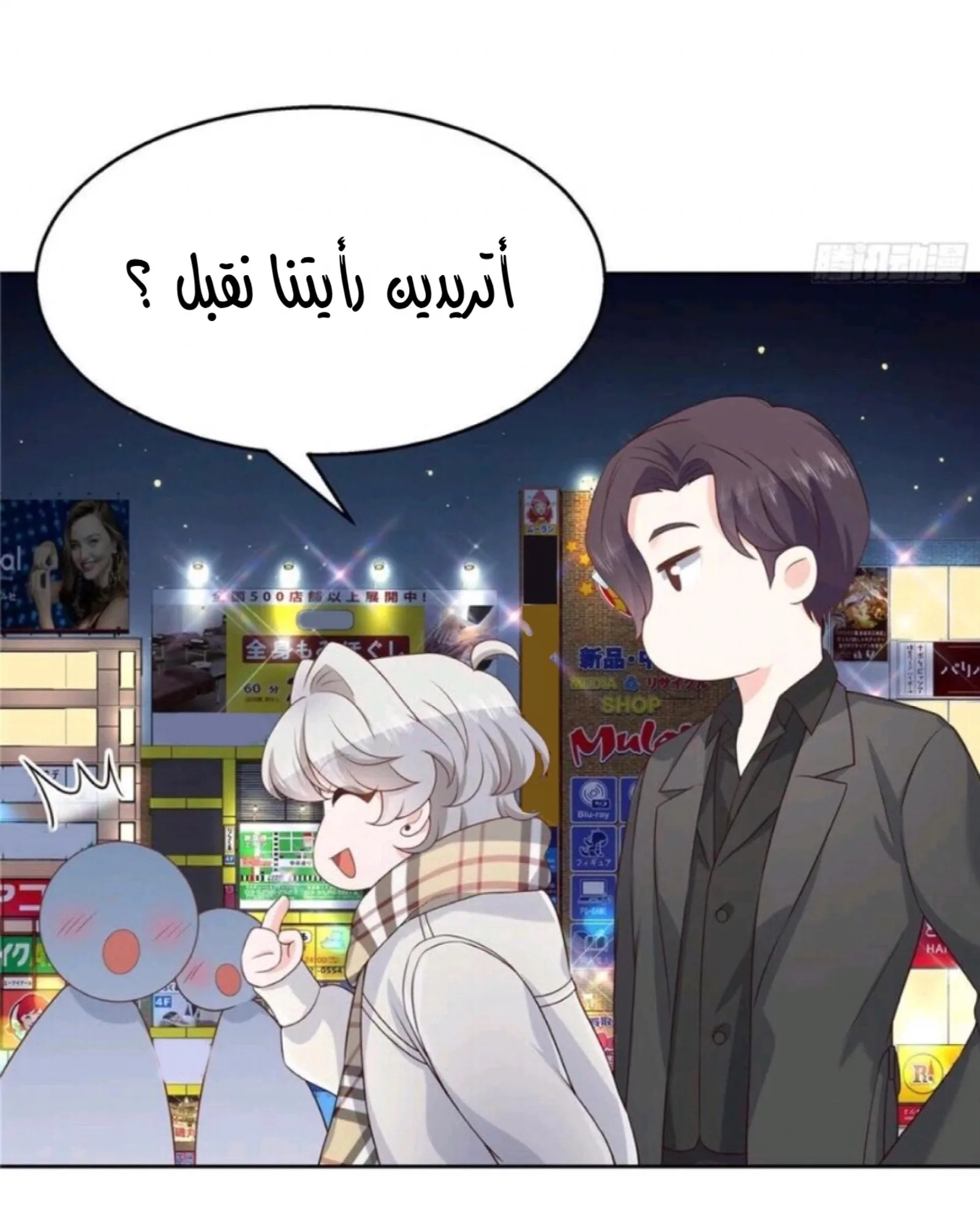 الصفحة 17