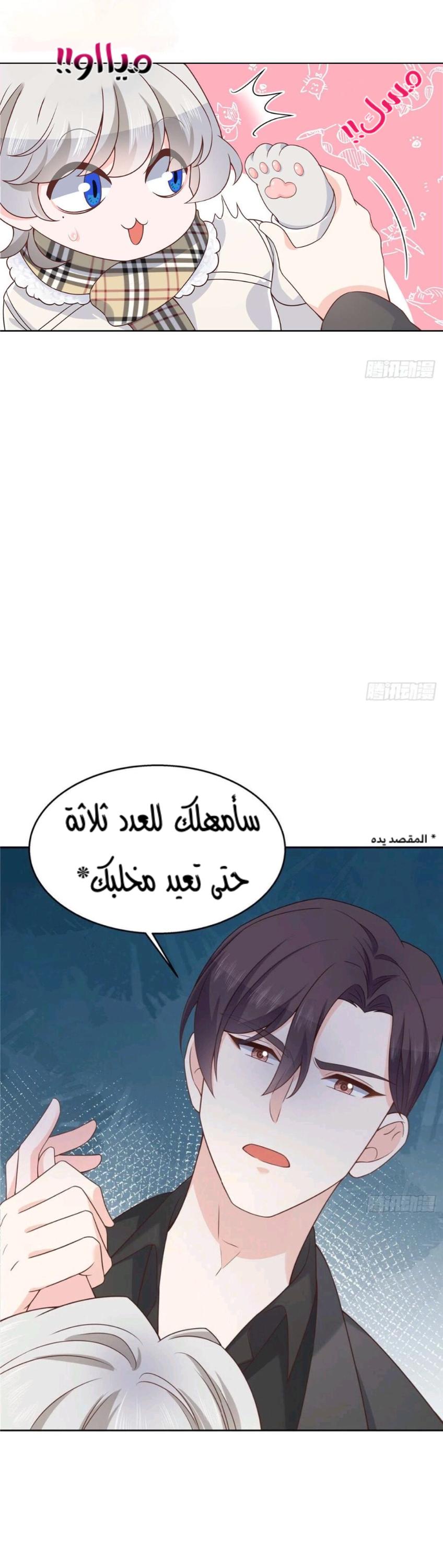 الصفحة 21