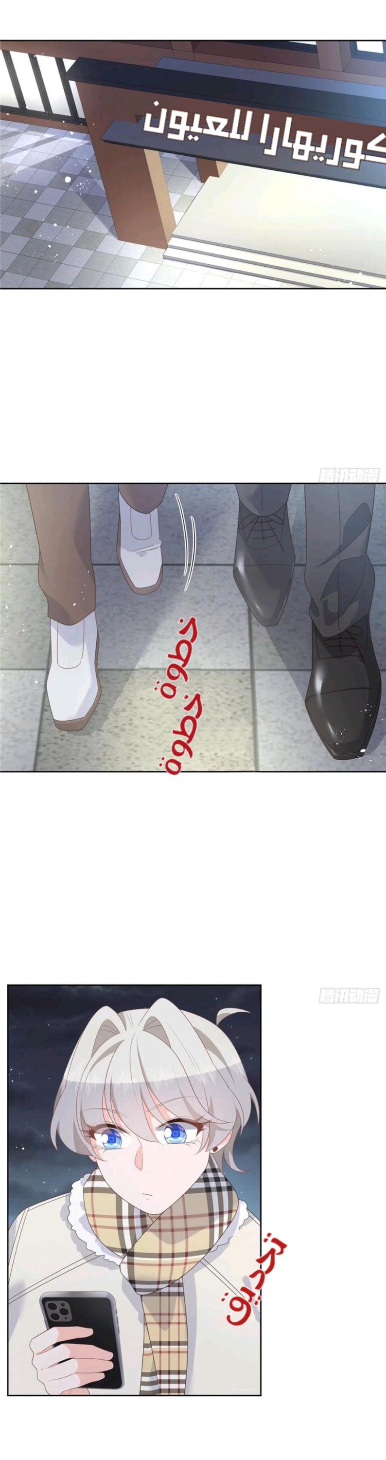 الصفحة 13