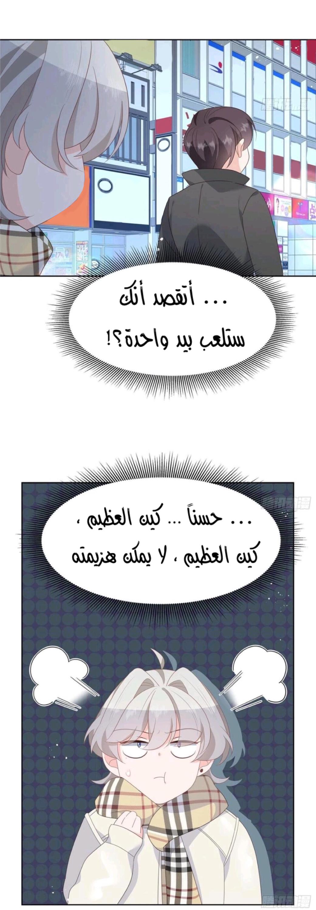 الصفحة 17