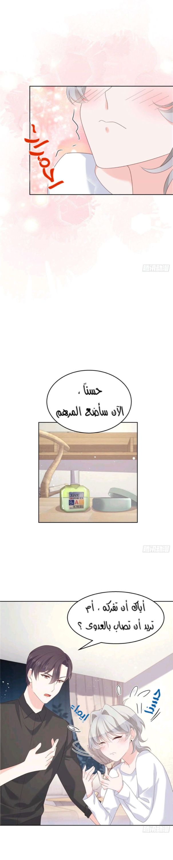 الصفحة 17