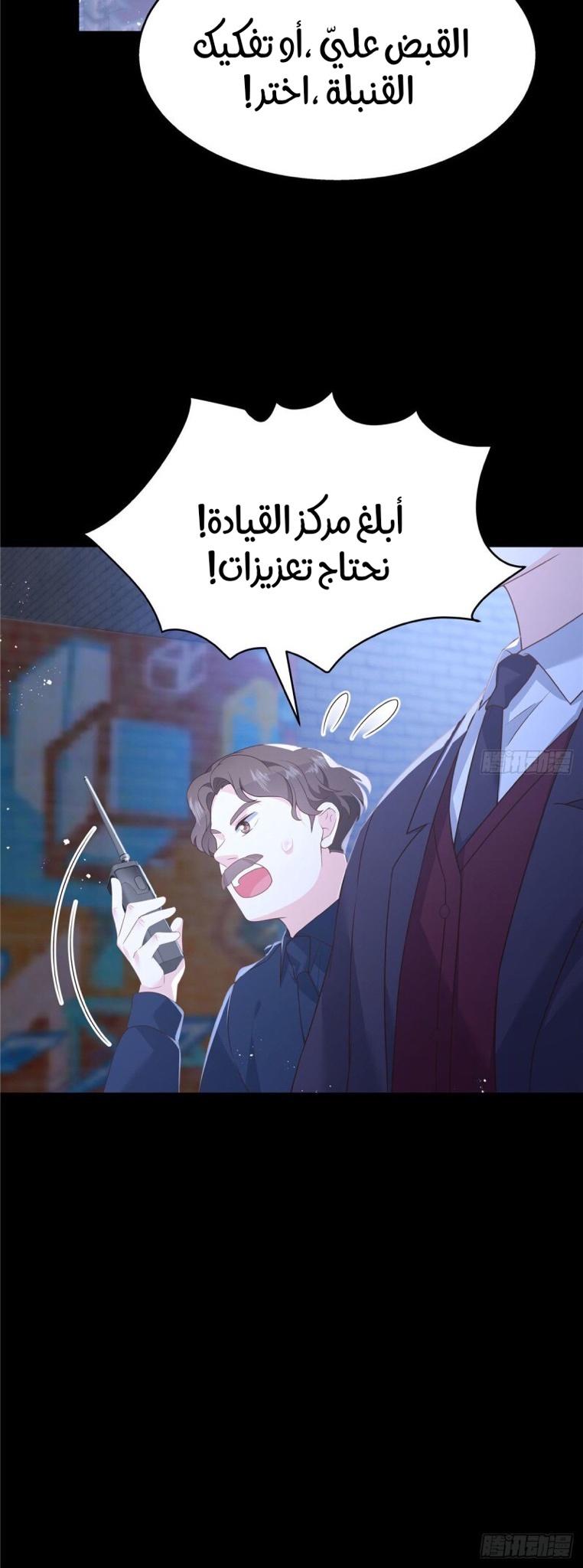 الصفحة 17