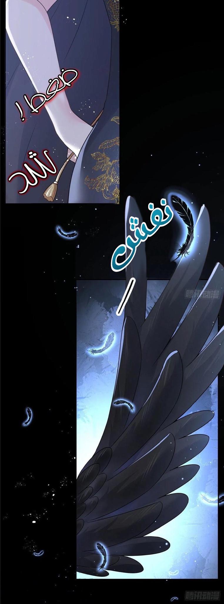 الصفحة 14