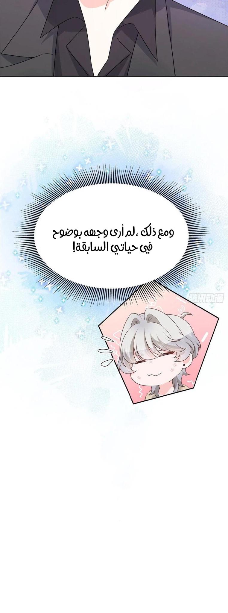 الصفحة 29