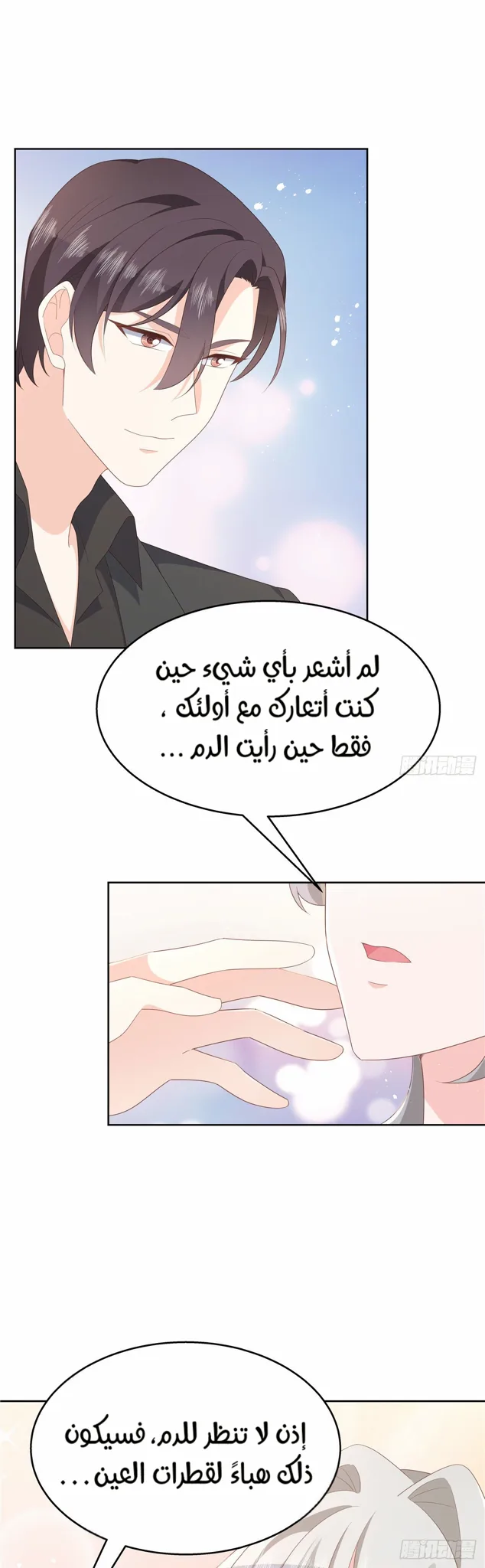 الصفحة 13