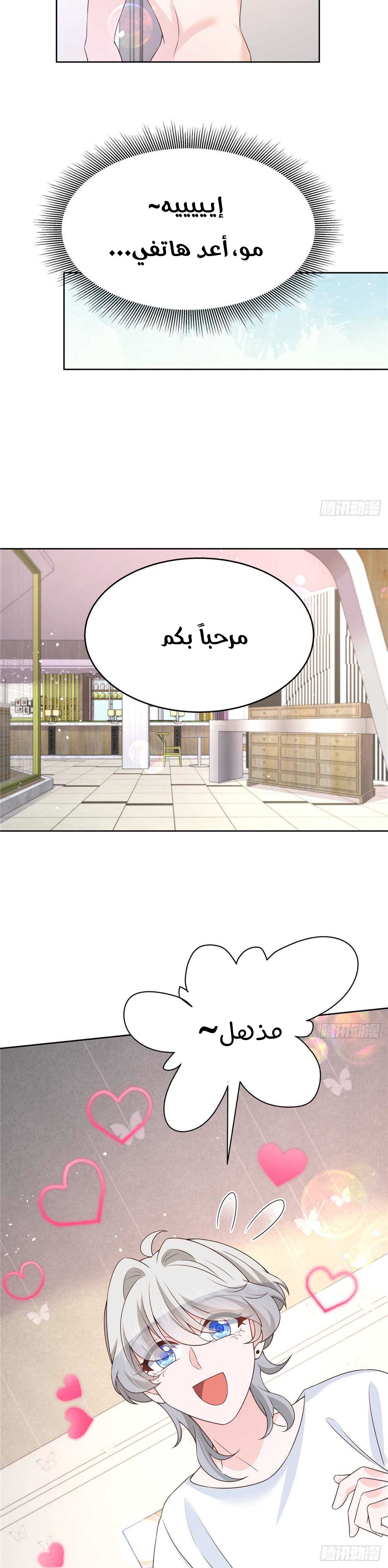 الصفحة 13