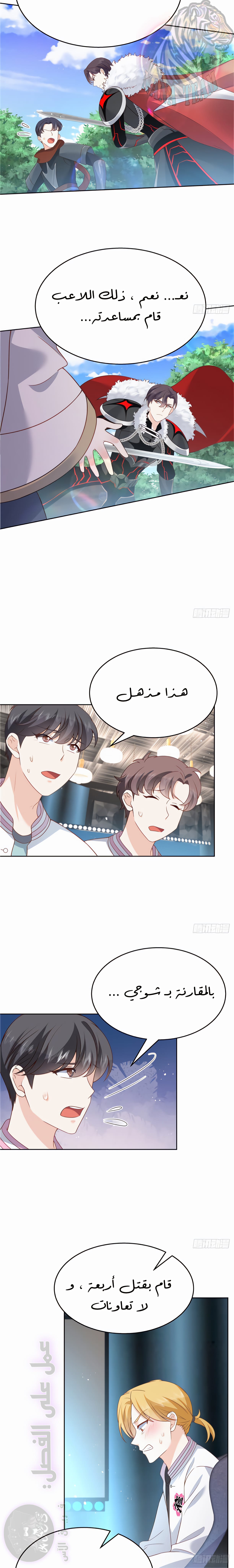 الصفحة 13