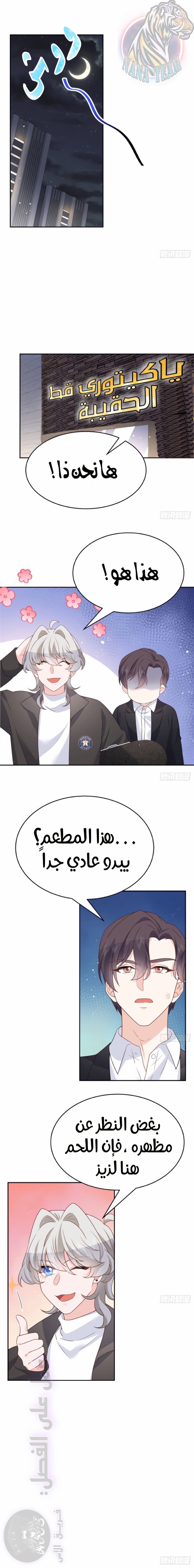 الصفحة 11