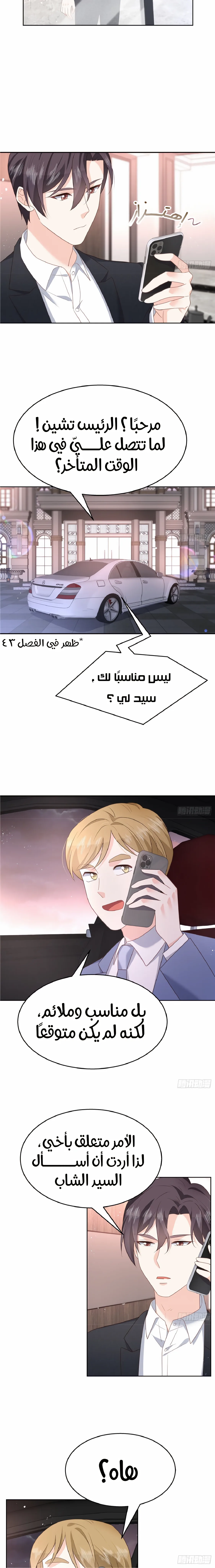 الصفحة 8