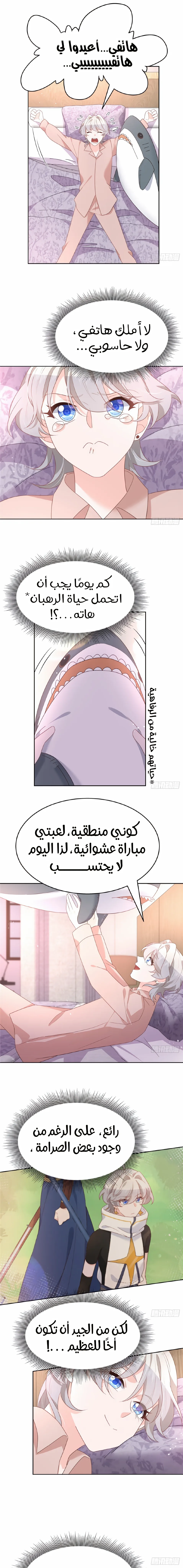 الصفحة 11