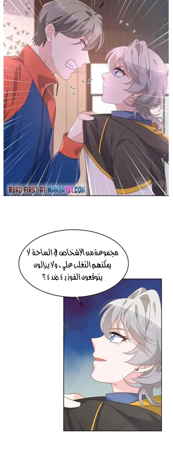 الصفحة 17