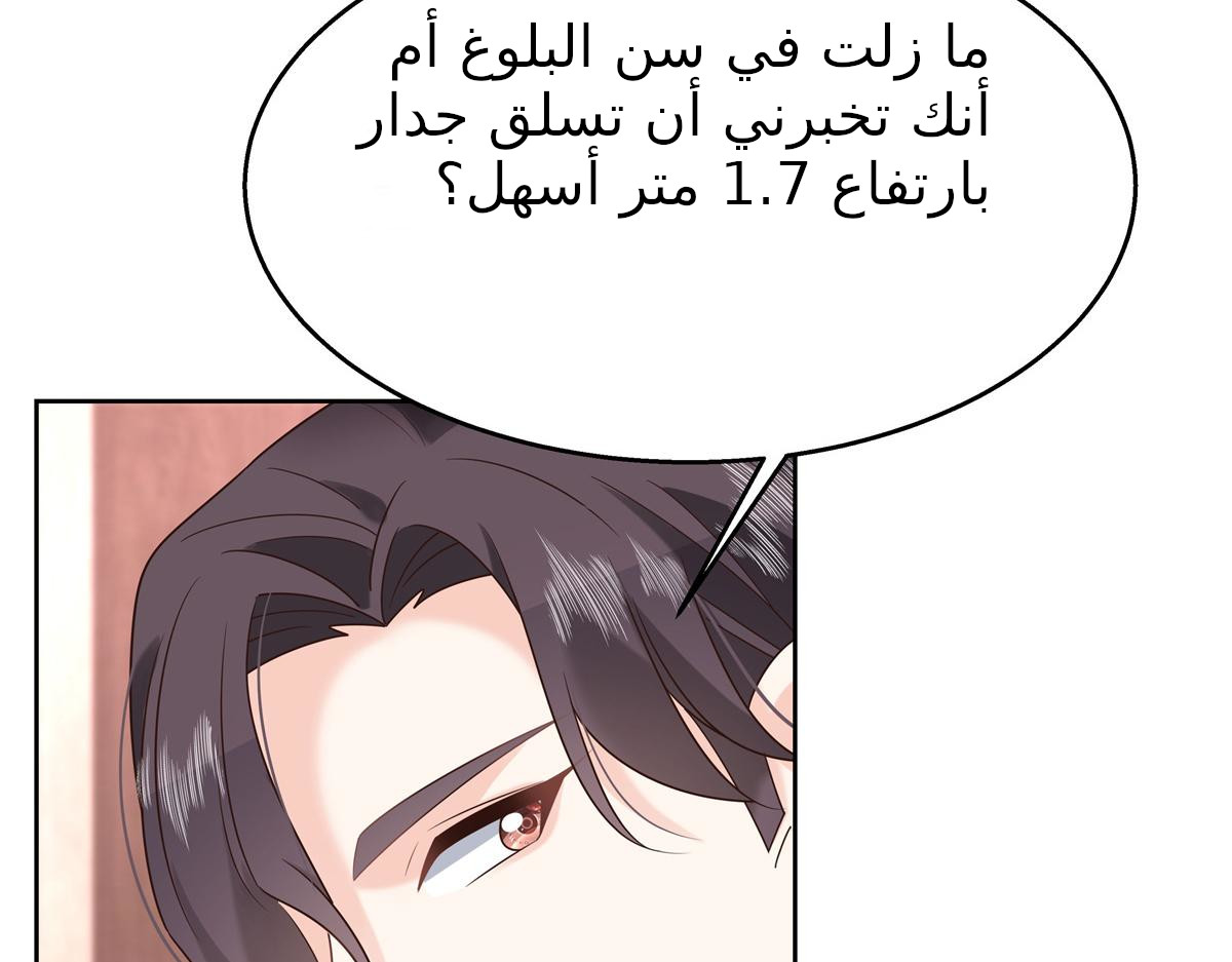 الصفحة 29