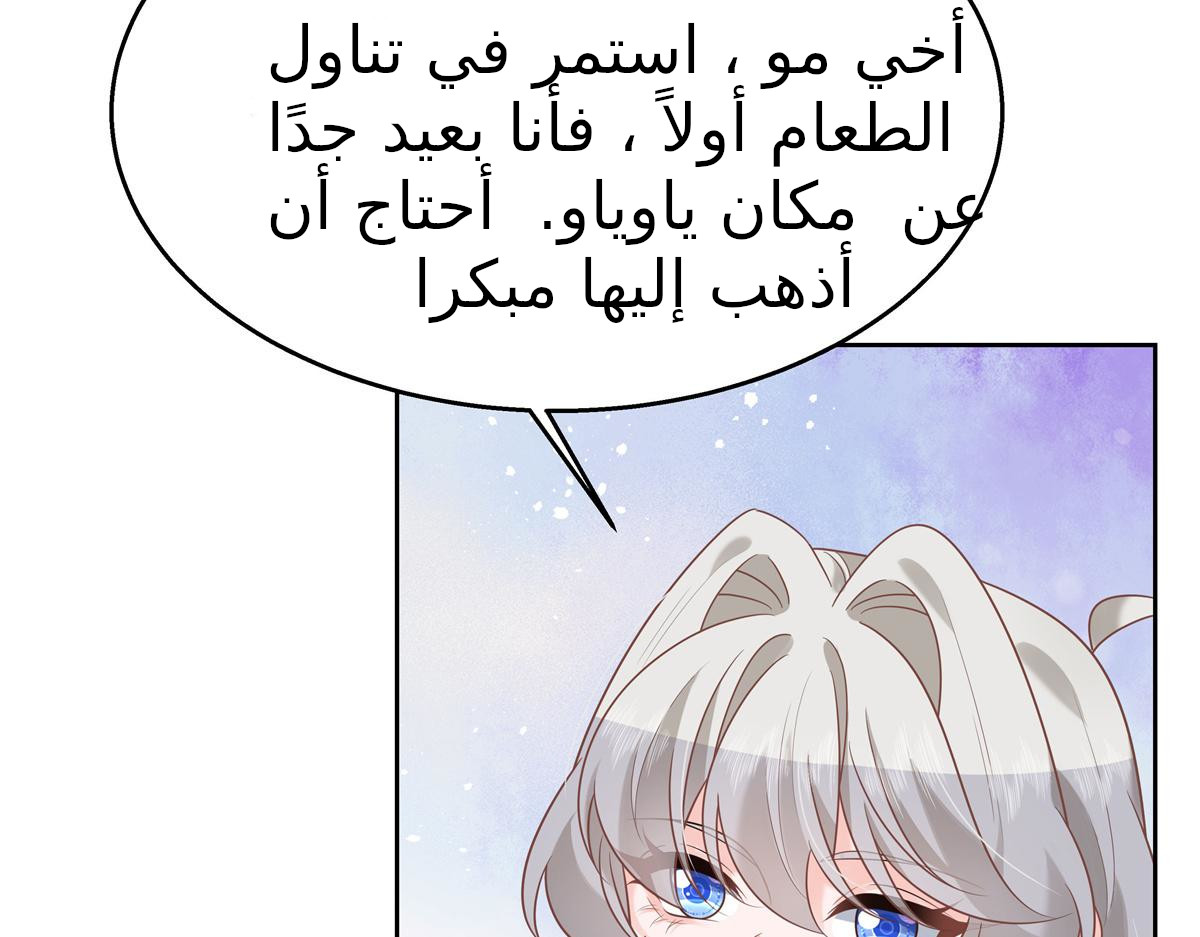 الصفحة 42