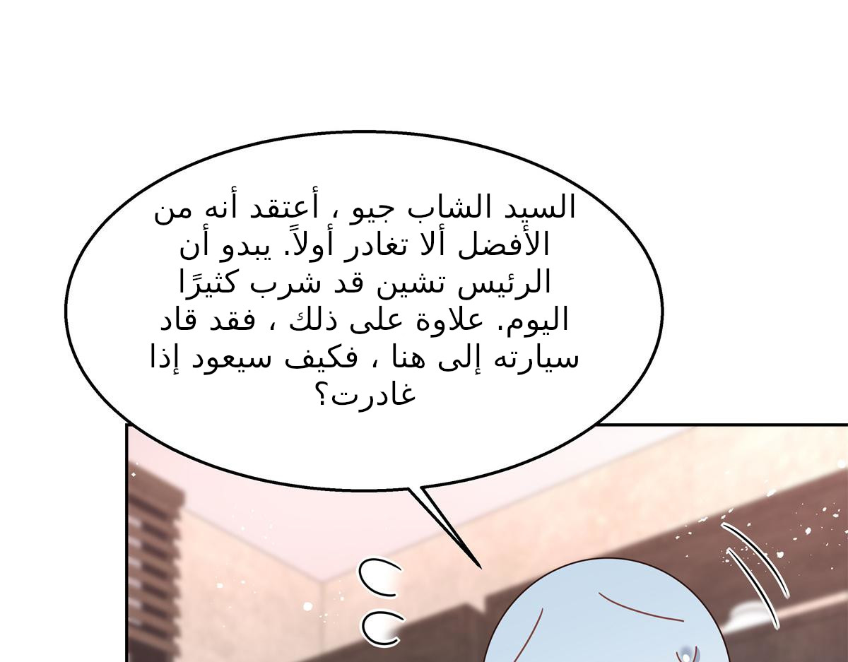 الصفحة 48