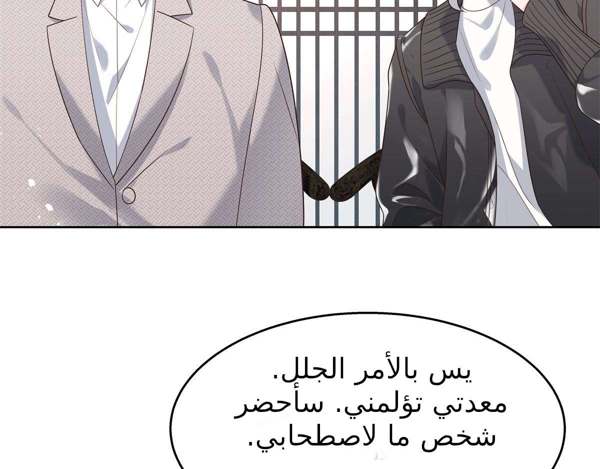 الصفحة 51