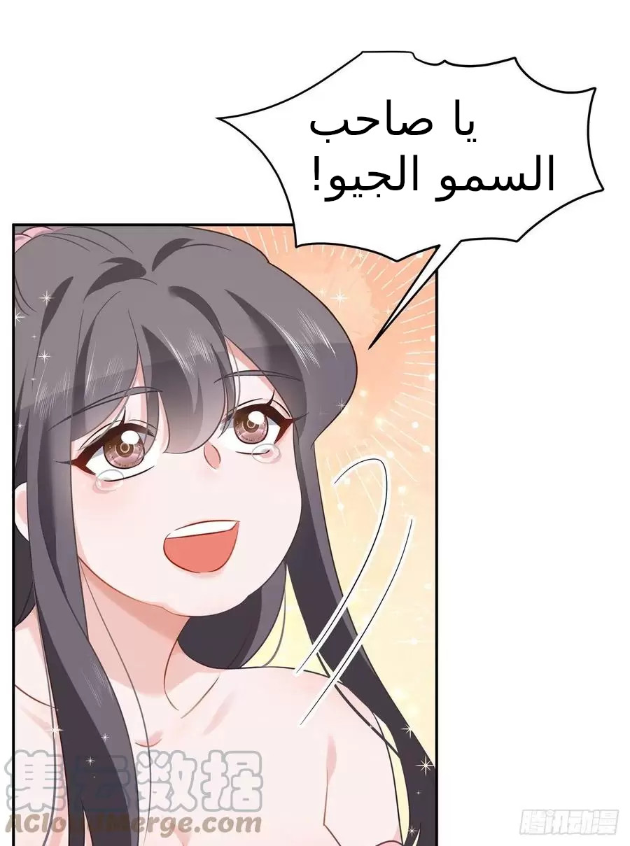 الصفحة 19