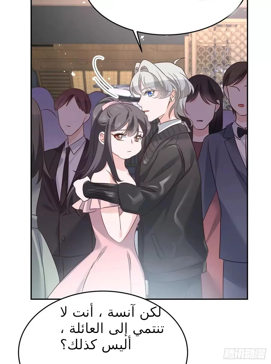 الصفحة 29