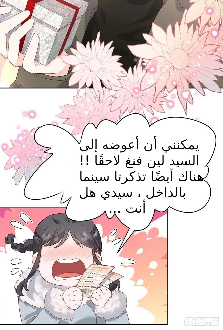 الصفحة 17