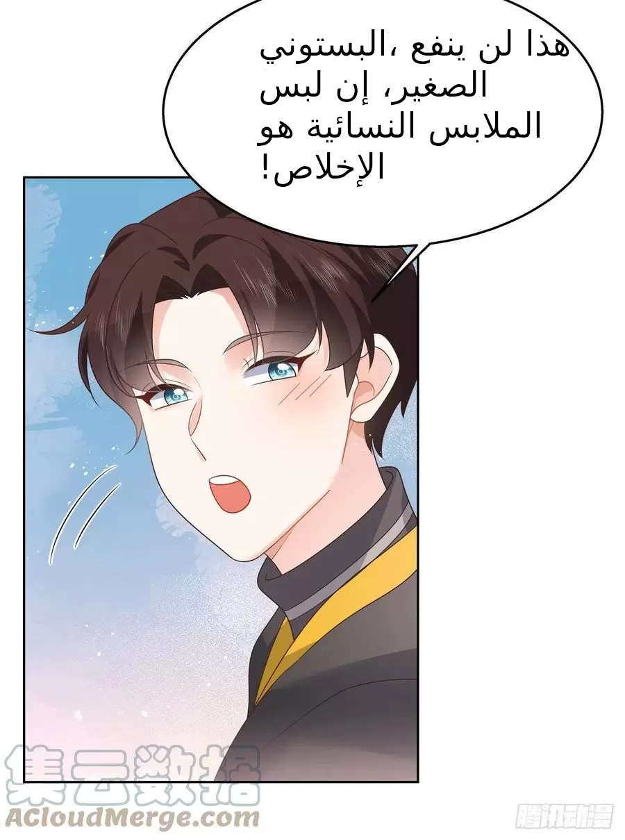 الصفحة 11