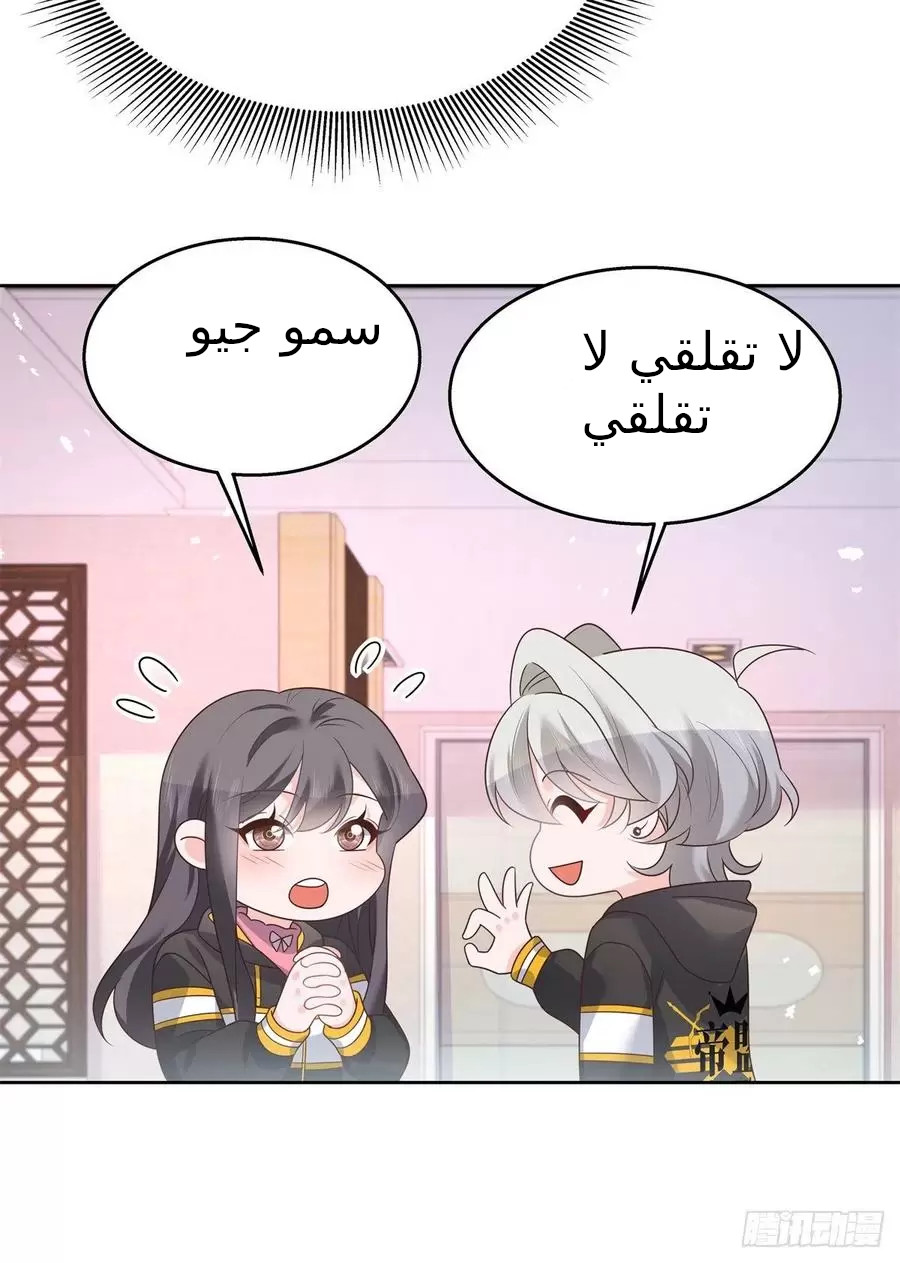 الصفحة 14
