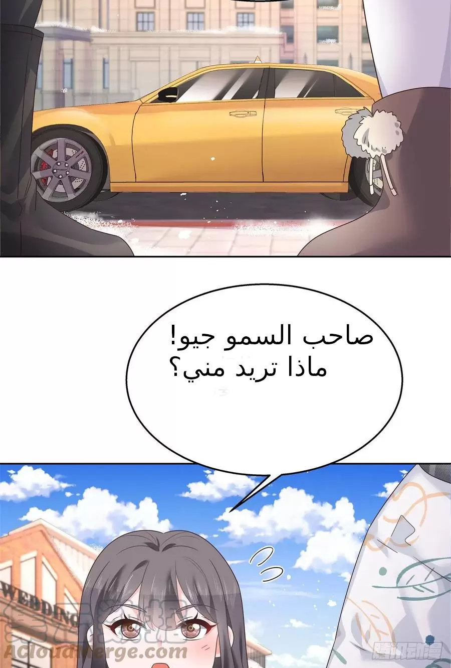 الصفحة 31