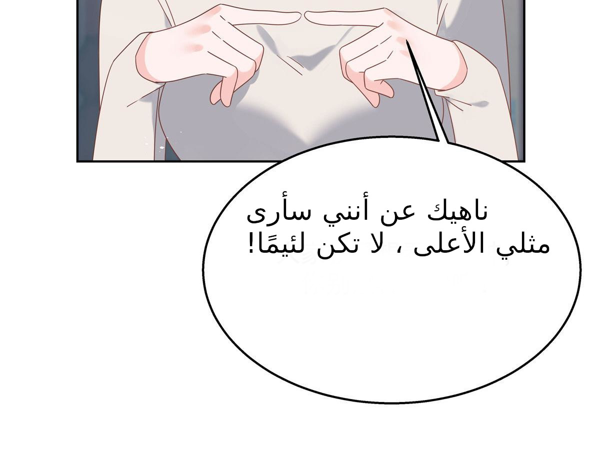 الصفحة 27