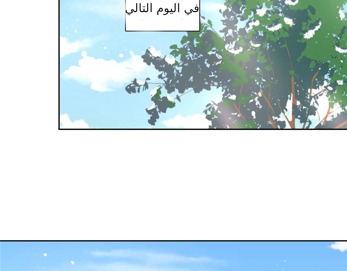 الصفحة 30