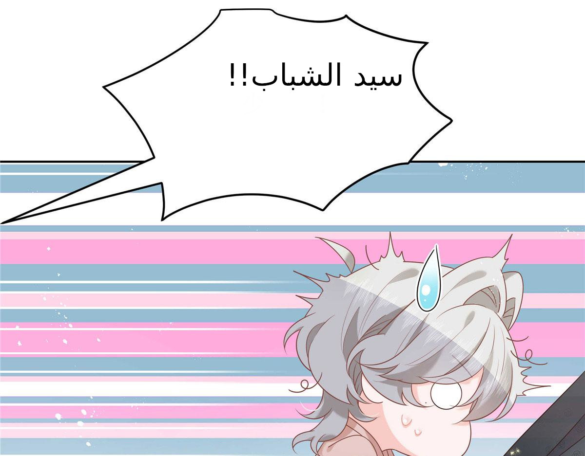 الصفحة 61