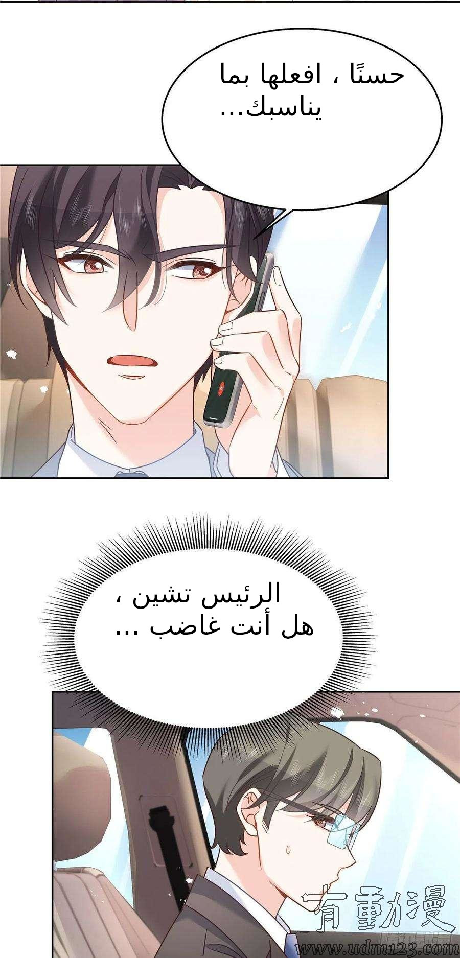 الصفحة 12