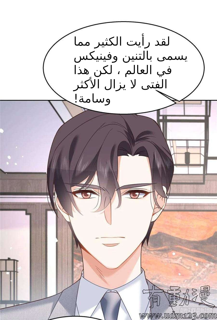 الصفحة 24