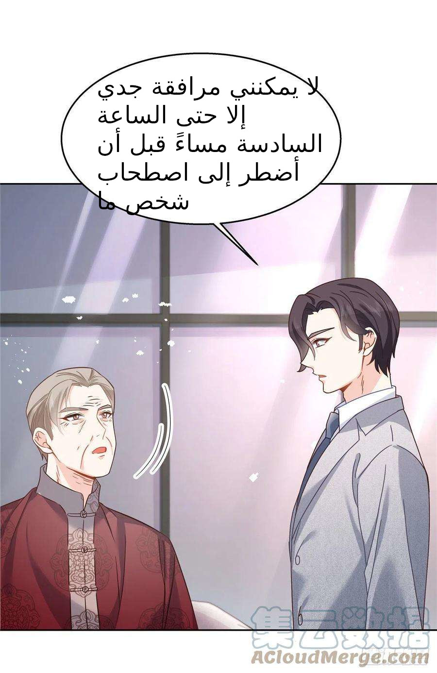 الصفحة 29