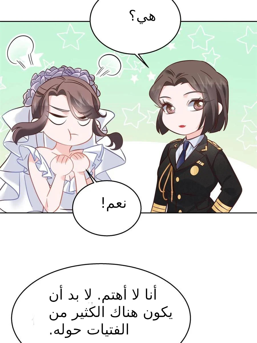 الصفحة 25