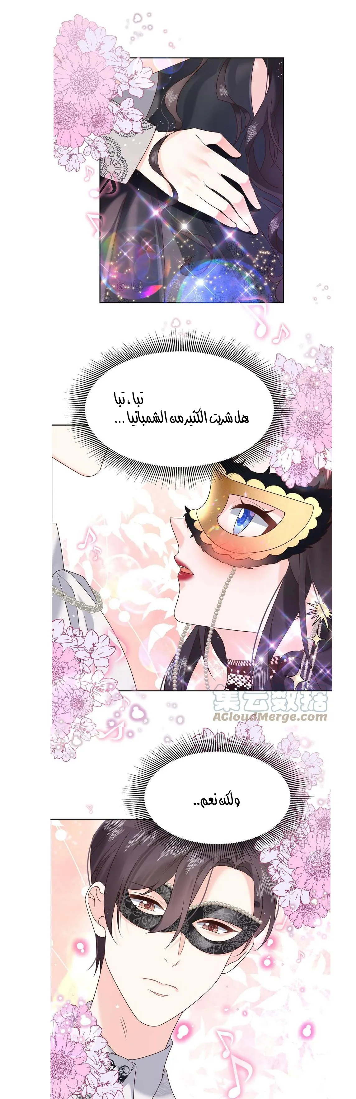 الصفحة 17